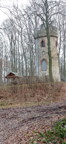 IMG 20231225 131732.jpg