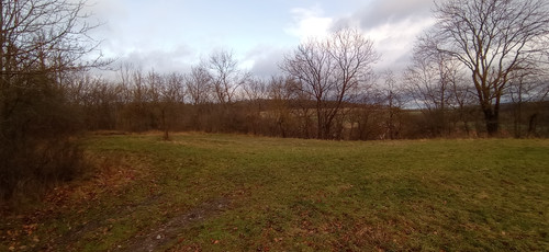 IMG 20231225 140959.jpg