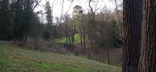 IMG 20231225 125249.jpg
