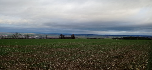 IMG 20231225 151823.jpg