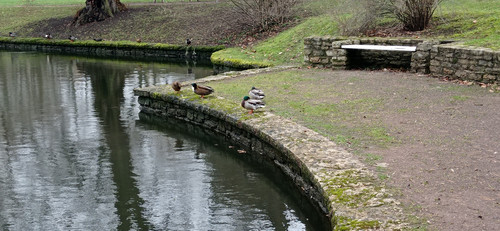 IMG 20231224 104552.jpg