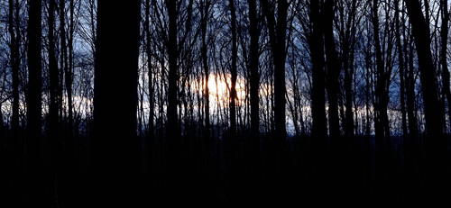 IMG 20231225 160829.jpg