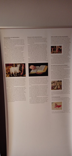 IMG 20231224 111529.jpg