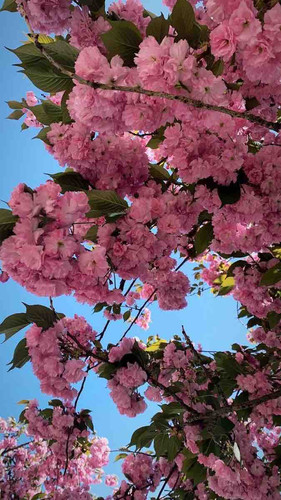 38B33A7D 81B8 47A5 9924 A4B56AB00297.jpg