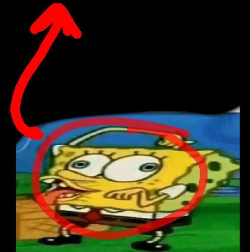 image.jpg