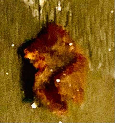 abfb82487e6e.jpg