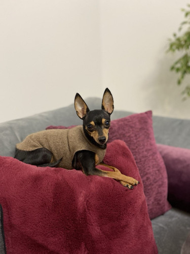 2023 12 26 22.41.35.jpg