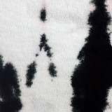 4 PCWH 0017