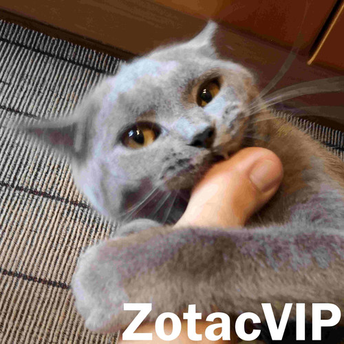 ZotacVIP 200kb.jpg