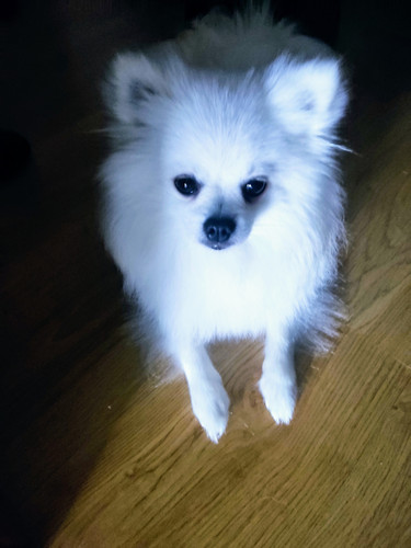 IMG 20231116 093426.jpg