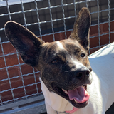 Screenshot 2023 12 26 at 6.47.17 PM.png