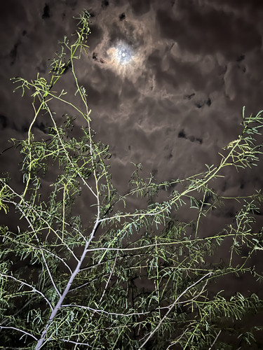 1C23E48C 66C4 448B BC52 B4AC279F4744.jpg