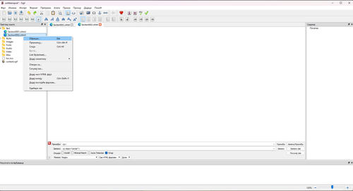 Snimak ekrana 2023 12 27 234220.png