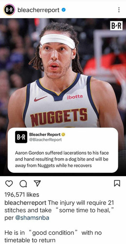 410446377 905618487736757 7873343910118364408 n.jpg