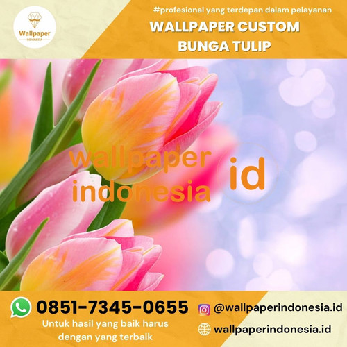 Wallpaper Custom Bunga Tulip.jpg