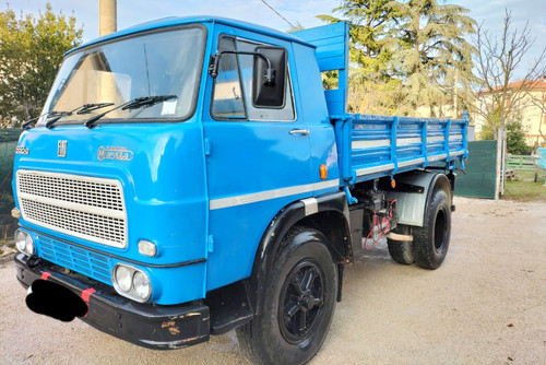 275491685 4969962213042819 7072871517680116271 n.jpg