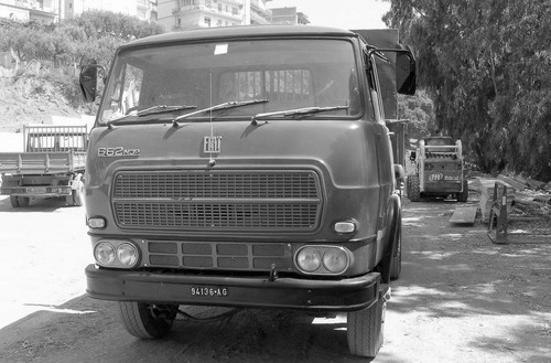 293102610 5610379842329835 6093115739480985767 n.jpg