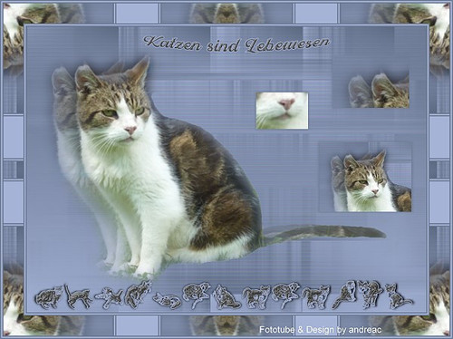 14502949 1106971586058777 3893976013130051988 n.jpg