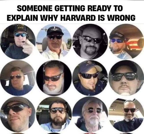 HARVARD SWIFT.jpg