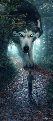 Wolf.jpg