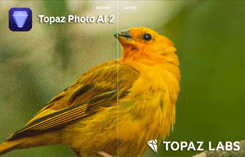 Topaz Photo AI 2.2.2 x64