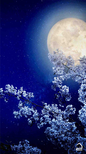 1199A935 5CAF 48B1 9B8D 13EA5CFD6CD7.jpg