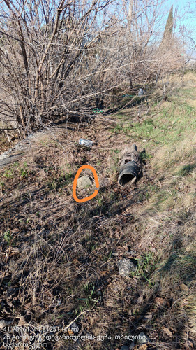 41.70161, 44.81251 29122023 113249 edit 52620615746674.jpg