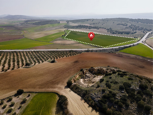 view land plot real estate business development.jpg