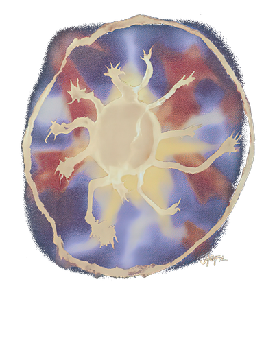 TD ISUTPIA S (1).png