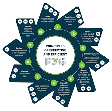 Certified Project Governance Course.png