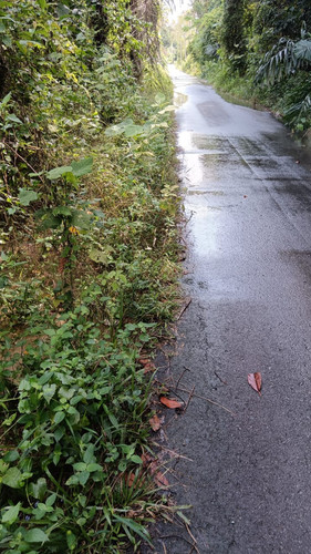 WhatsApp Image 2023 12 27 at 10.14.39 AM(1).jpg