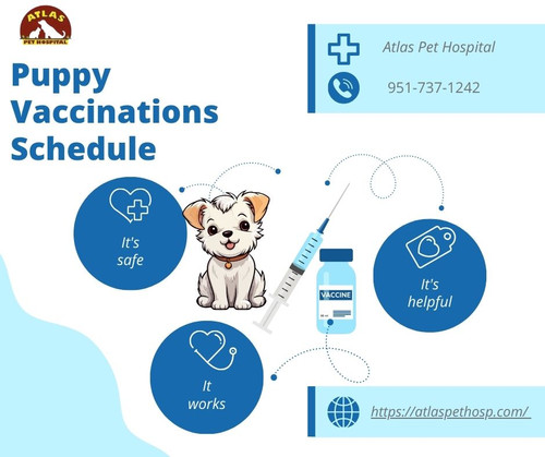 Puppy Vaccinations Schedule - Atlas Pet Hospital.jpg