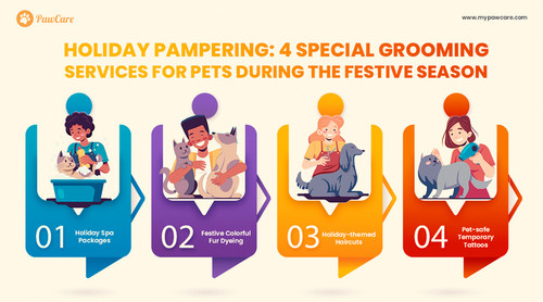 Holiday Pampering 5 Special Grooming Services for Pets during the Festive Season.jpg