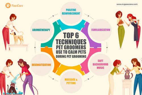 Top 6 Techniques Pet Groomers Use to Calm Pets During Pet Grooming.jpg