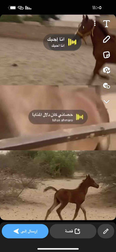 C7CEF5A1 4B77 4730 A2AE A343A9DF34EE.jpg