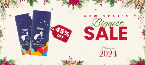 Banner new year.webp