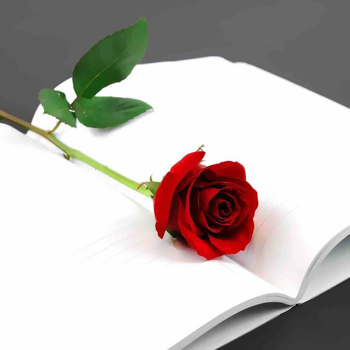 26B8C77F 8EEE 435F B8E9 9620C153CE15.jpg