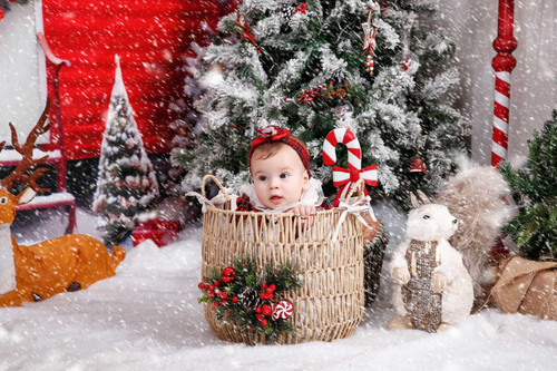 viber image 2023 12 27 11 55 24 508.jpg