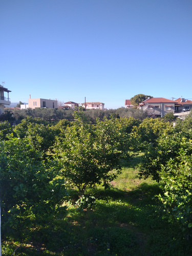 IMG 20231227 142837.jpg