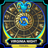 virginia night.gif