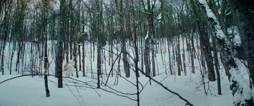 large screenshot1 (4).jpg