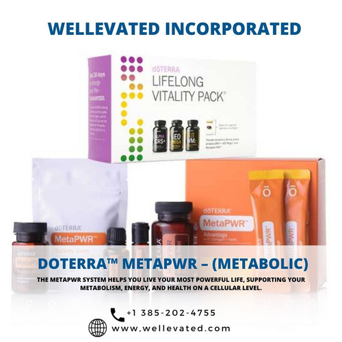 Wellevated Incorporated.jpg