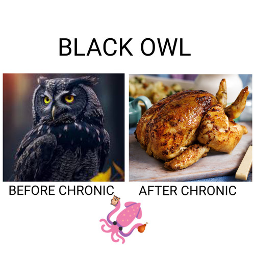 IMG 20231226 103350.jpg