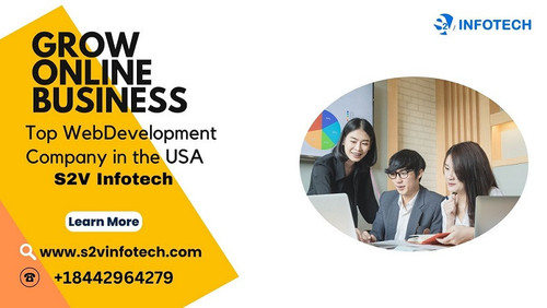 S2V Infotech a Top Web Development Company in the USA.jpg