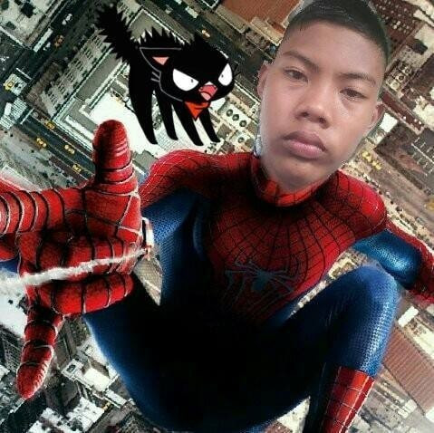 wa spider.jpg