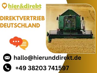 Maximieren Sie Ihr Geschäftspotenzial mit Direktvertrieb in Deutschland.jpg