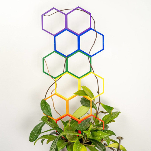 ST Trellis Pride pack 1.jpg