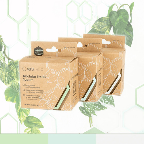 ST Trellis Tea Tara Wht 3.jpg