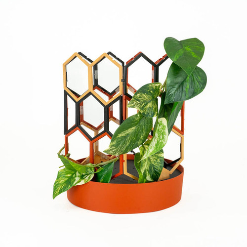 ST Trellis Tus Wood Blk 1.jpg
