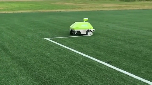 Pet Turf Elenton (2).jpg